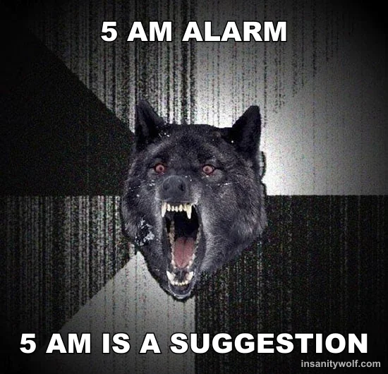 Insanity Wolf: 5 AM ALARM - 5 AM IS A SUGGESTION