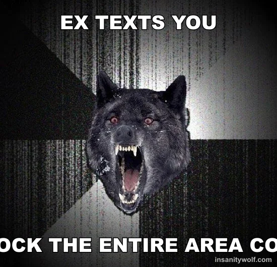 Insanity Wolf: EX TEXTS YOU - BLOCK THE ENTIRE AREA CODE