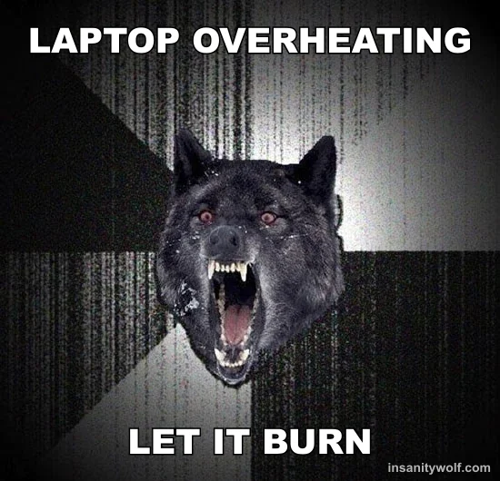 LAPTOP OVERHEATING LET IT BURN